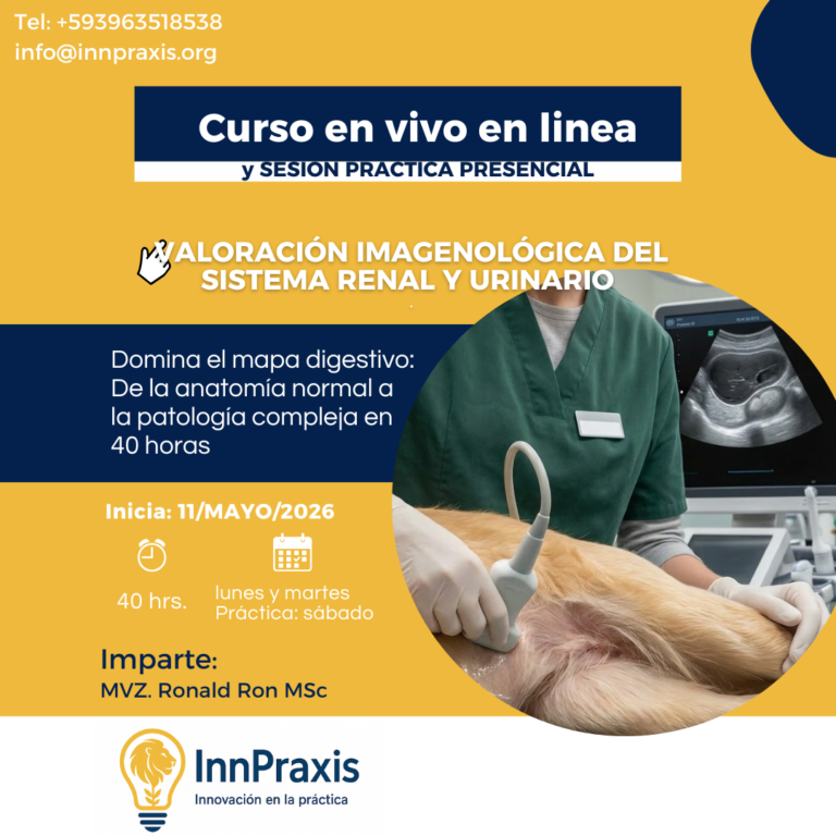 Valoración Imagenológica del Sistema Renal y Urinario: Del Escaneo al Diagnóstico ¡La Ruta al Diagnóstico de Precisión en Nefrología Veterinaria!
