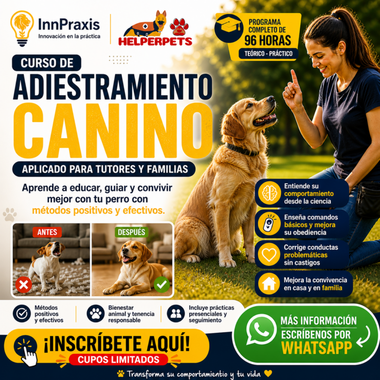 Adiestramiento Canino Personalizado para Tutores y Familias
